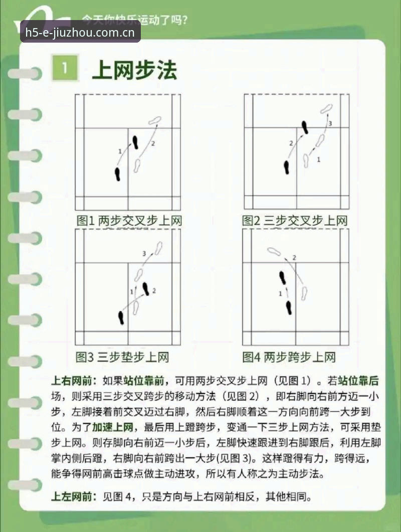 九州体育随手查比分避坑指南：从安装到实战的完整教程